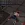 Kevin.webp