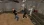 1783697905808.webp