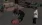 19.webp