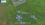 dayz.webp
