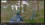 dayz2.webp