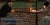9.webp