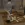1783987581315.webp