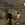 2026-07-14-01-01-37.webp