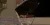 7.webp