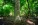 1784399858213.webp