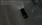 3.webp