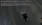 9.webp