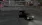 17.webp
