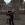 2026-07-20-19-13-57 копия.webp