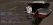 Untitled-13.webp