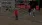 6.webp