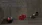 11.webp