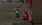 12.webp