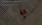 13.webp