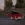 1000008314.webp