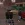 1000008319.webp