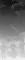 lakings.webp