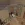 2026-07-26-19-20-49.webp