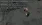 3.webp