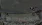 5.webp