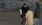 11.webp