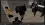 file1.webp