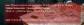 24234342.webp