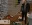 10.webp