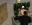 11.webp