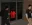 20.webp