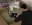 24.webp