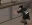 25.webp