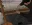 28.webp