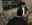 34.webp