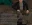 47.webp
