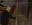 50.webp