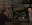 51.webp