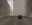 55.webp