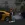 2026-07-29-22-51-47.webp