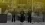 lakings12.webp