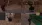5.webp