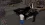 2026-08-03-03-13-19.webp