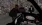 7.webp