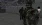 33.webp