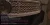 cody4.webp