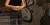 cody9.webp