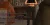 cody10.webp