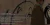 cody11.webp