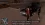 1786129331640.webp